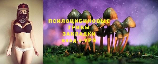 трава Абинск