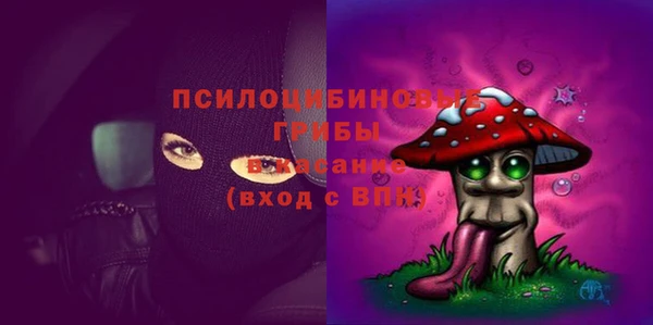 СК Абдулино