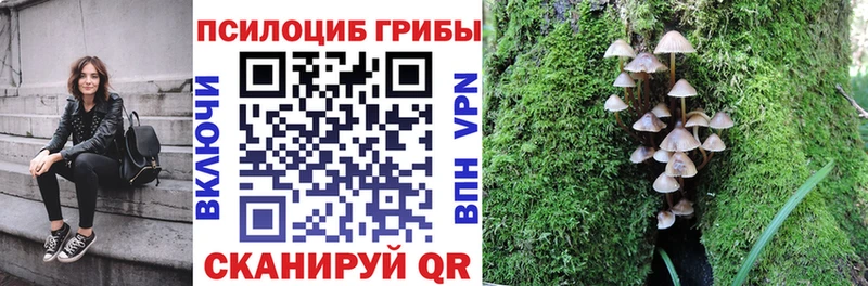 Псилоцибиновые грибы Psilocybe  Рязань 